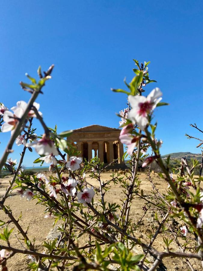 B&B Le Sorelle San Leone Εξωτερικό φωτογραφία